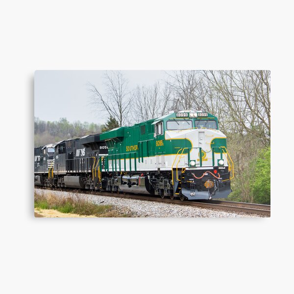 NS 8099 Southern Heritage Scheme Metal Print