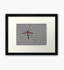 Screen Test Framed Print