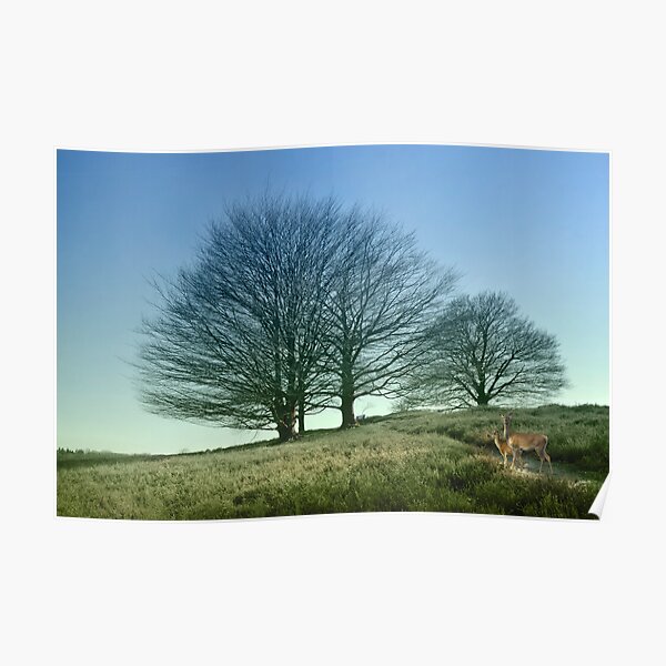 Idyllic spring Poster