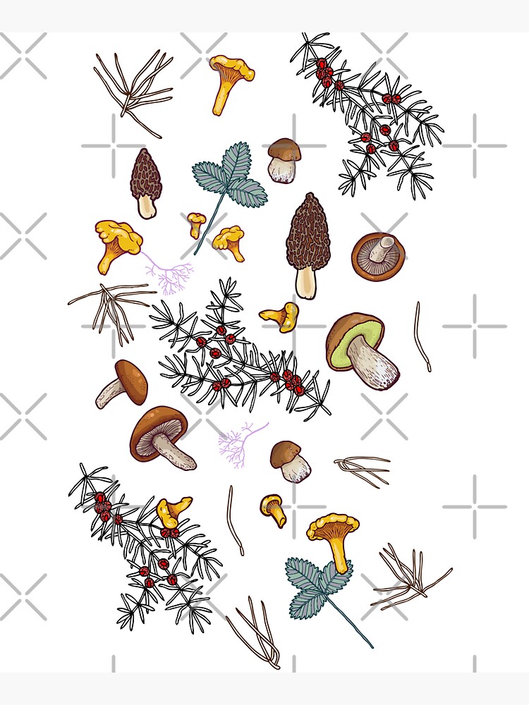 Artwork view, dark wild forest mushrooms designed and sold by smalldrawing