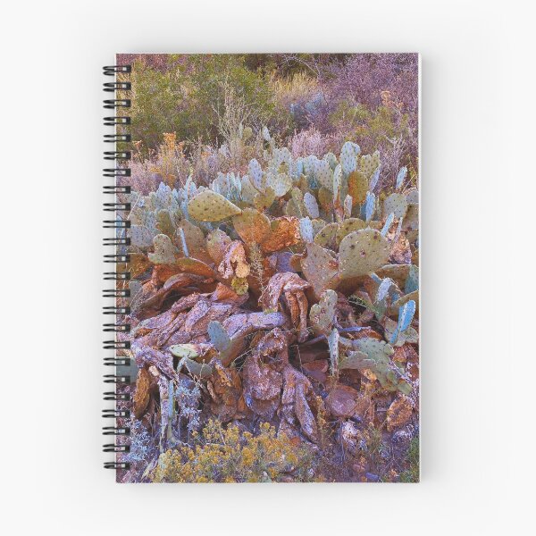 Item preview, Lifecycle of Prickly Pear Cactuses designed and sold by Chee Sim.