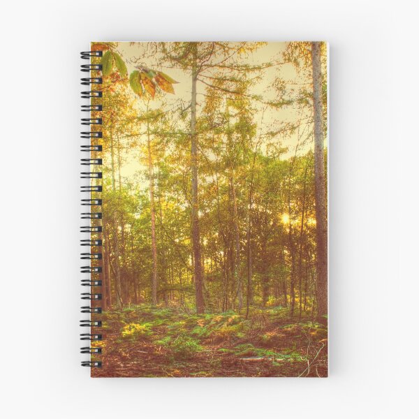 Item preview,  Abbey Wood In Autumn designed and sold by Dave Godden.
