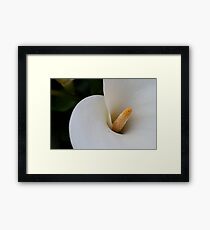 Flower ten Framed Print