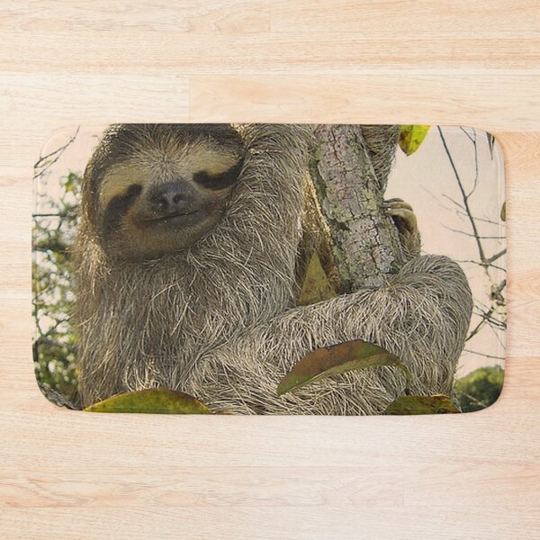 Item preview, adorable sloth designed and sold by Jamcolors.