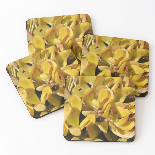 Item preview, Golden Jade Succulent Plant designed and sold by Asiantiger247.