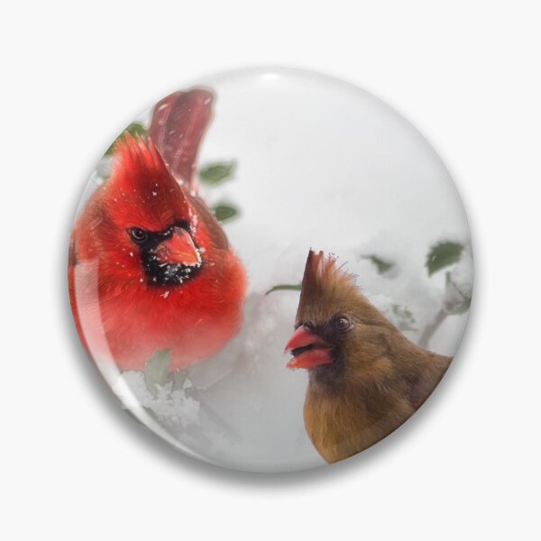 Item preview, Mr. and Mrs. Cardinal designed and sold by Kathy Weaver.