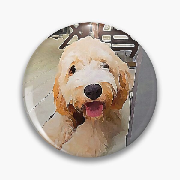 Item preview, Cavoodle resting designed and sold by phuket221108.
