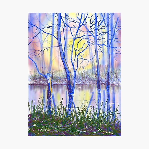 Skipwith Common - iPad Photographic Print