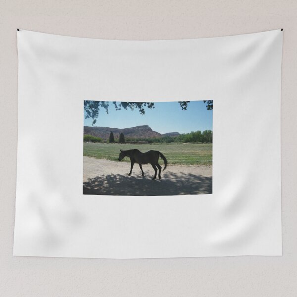 Item preview, Georgia O'Keefe Ranch, Abiqui, New Mexico designed and sold by lenspiro.