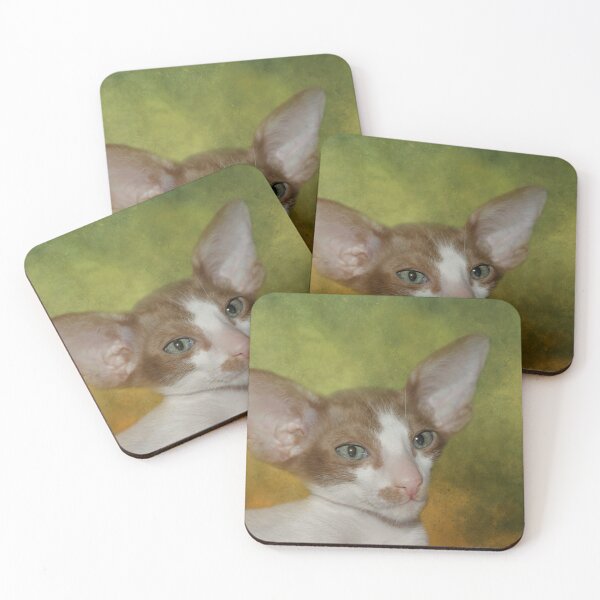 Item preview, Sweet Oriental Shorthair Kitten designed and sold by Elisabeth Lucas.