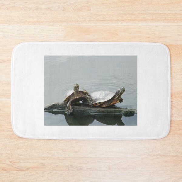 Item preview, Turtles in Central Park, New York  designed and sold by lenspiro.