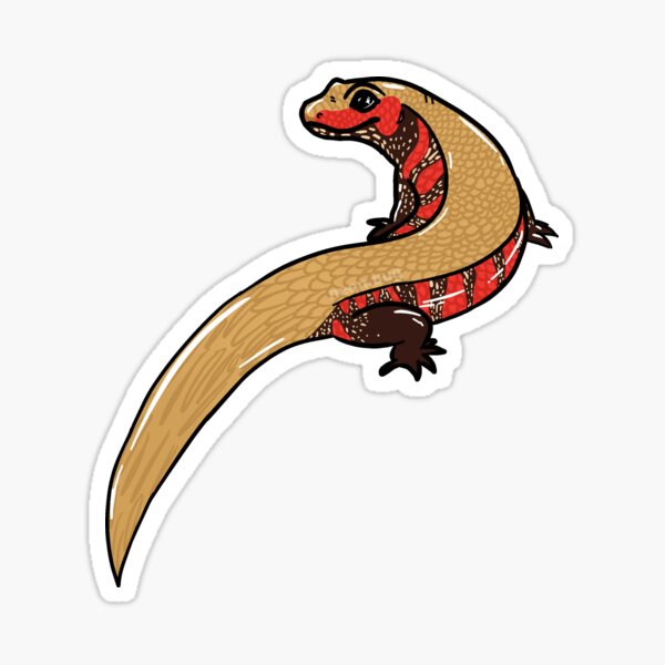 Item preview, African Fire Skink designed and sold by VariousLizards.