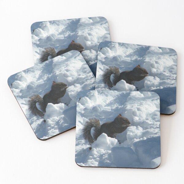 Item preview, Squirrel in Snow, Central Park, New York  designed and sold by lenspiro.