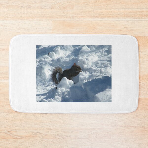Item preview, Squirrel in Snow, Central Park, New York  designed and sold by lenspiro.