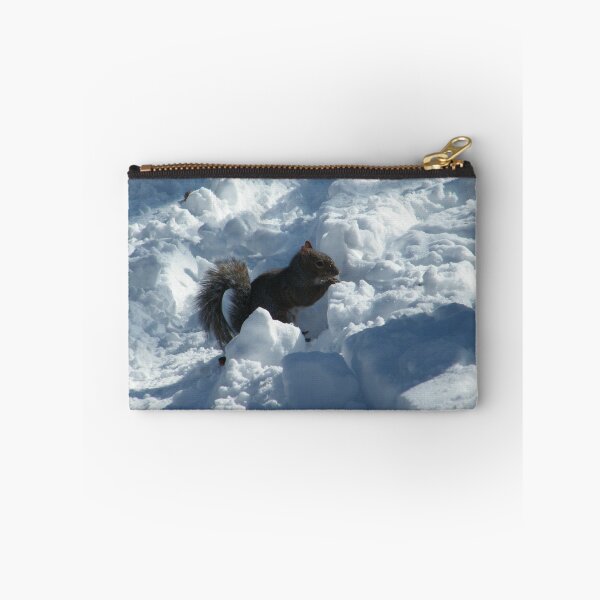 Item preview, Squirrel in Snow, Central Park, New York  designed and sold by lenspiro.