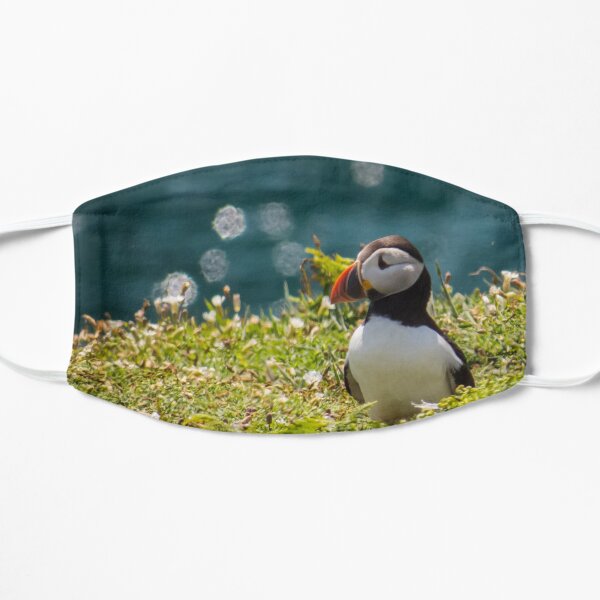Puffin! Flat Mask