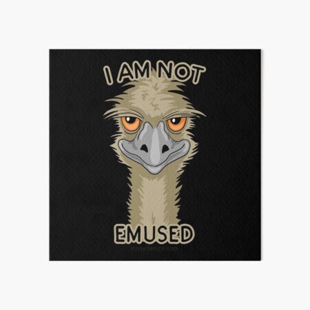 I Am Not Emused Funny Emu Pun Orange I Am Not Emused Funny Emu Pun Orange