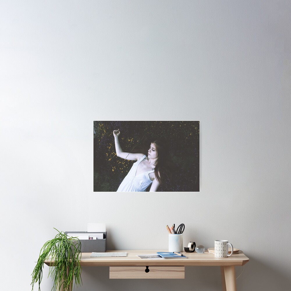 SULDR & LAMINA Poster