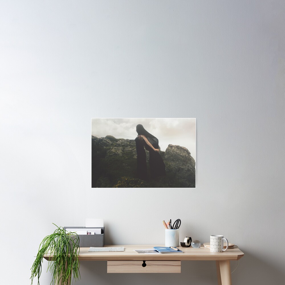 SULDR & LAMINA Poster