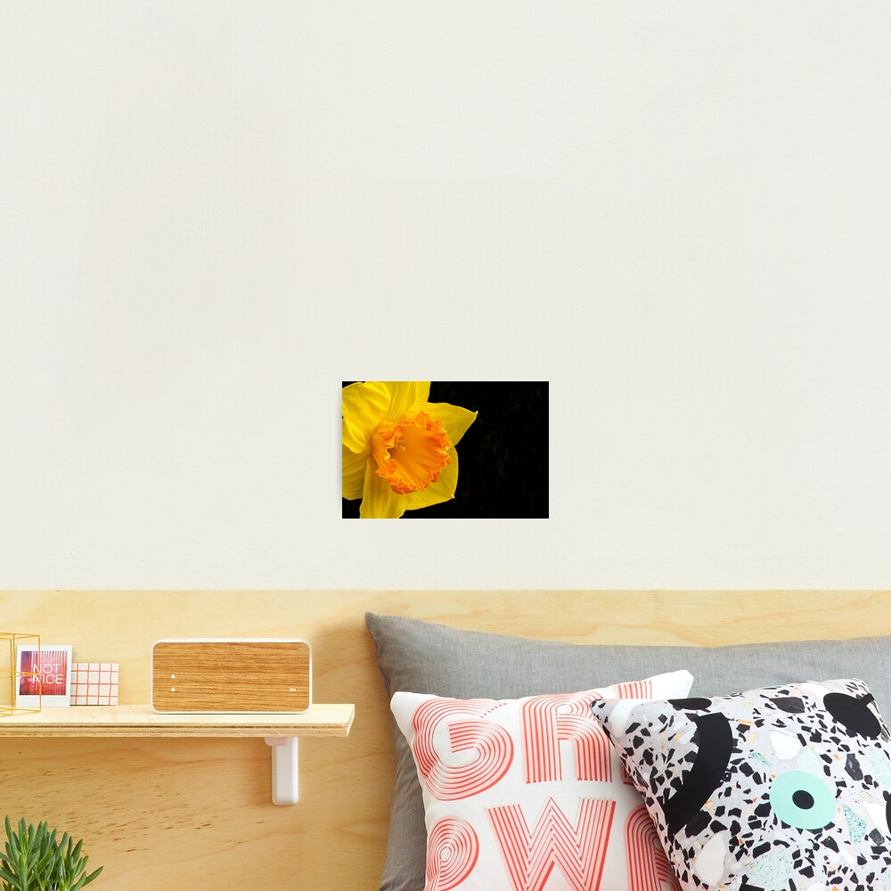 Item preview, Photographic Print designed and sold by CJTill.