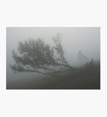 SULDR & LAMINA Photographic Print