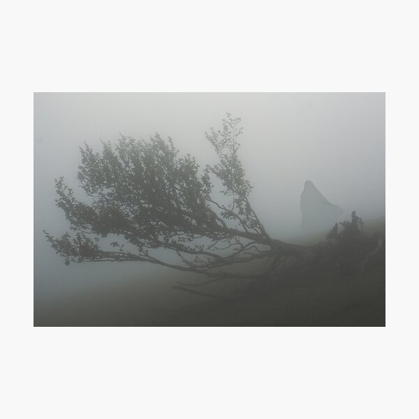 SULDR & LAMINA Photographic Print