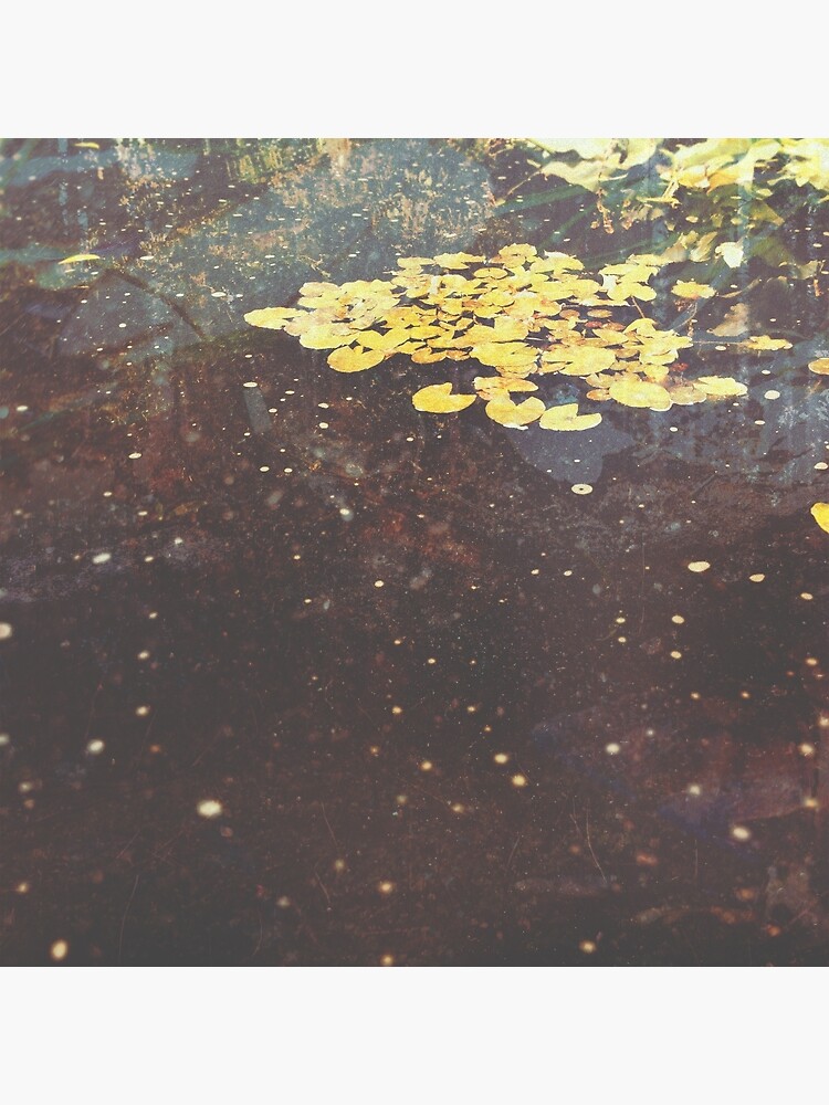 EAUX-FORTES by sylfvr