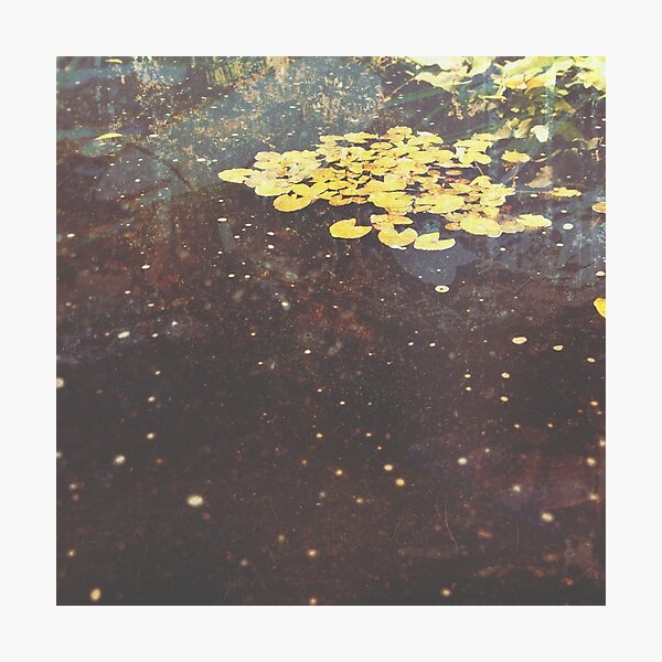 EAUX-FORTES Photographic Print