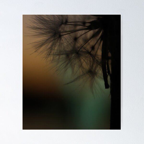 Aperçu de l'œuvre DUSK DANDELION créée et vendue par June Ferrol.