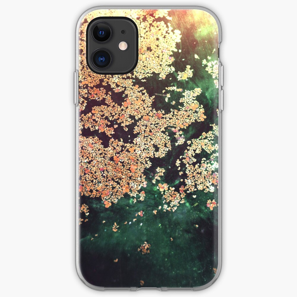 EAUX-FORTES iPhone Case & Cover