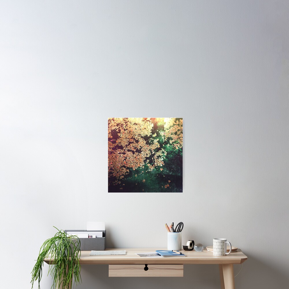 EAUX-FORTES Poster
