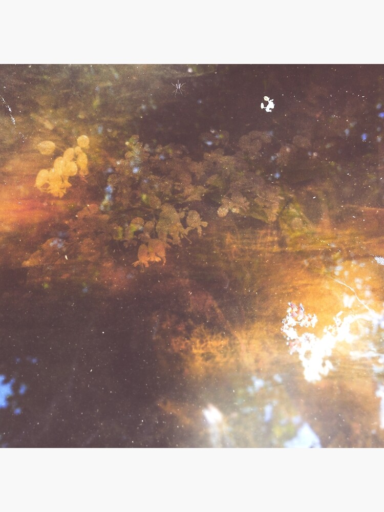 EAUX-FORTES by sylfvr