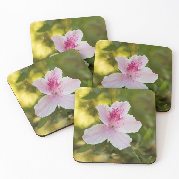Item preview, Pink Azalea designed and sold by bwatkinsphoto.