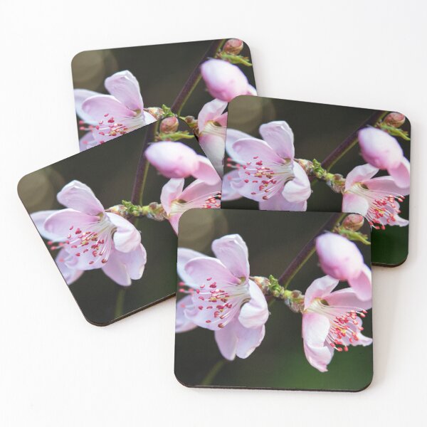 Item preview, Pink cherry blossoms designed and sold by bwatkinsphoto.