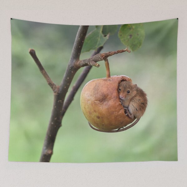 Item preview, An Apple a Day designed and sold by Dean Mason.