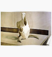 Cow Skull Poster