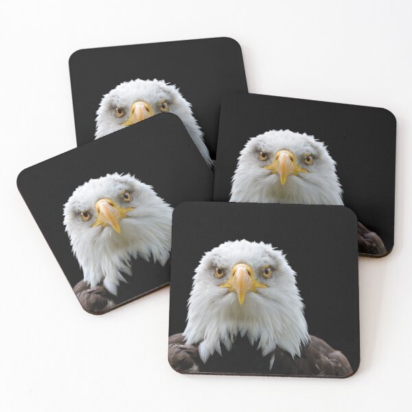 Item preview, Bald Eagle Gaze designed and sold by Dean Mason.