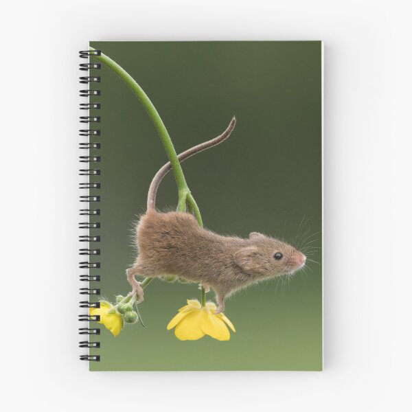 Item preview, Buttercup Acrobat mouse designed and sold by Dean Mason.
