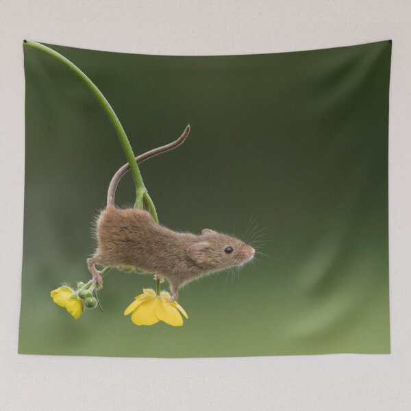 Item preview, Buttercup Acrobat mouse designed and sold by Dean Mason.