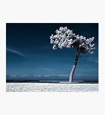 The Lone Rider (Infrared) Photographic Print
