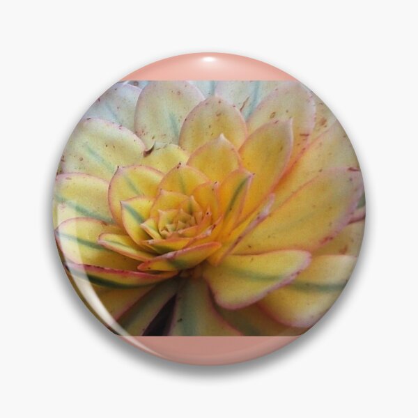Item preview, Pastel Succulent Detail designed and sold by csturman.