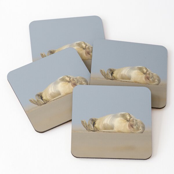Item preview, The Happy Seal Pup designed and sold by Dean Mason.