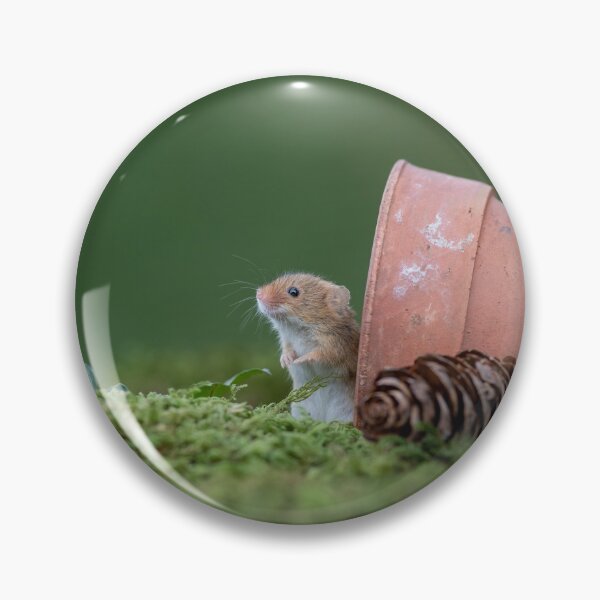 Item preview, Harvest mouse and Fungi designed and sold by Dean Mason.