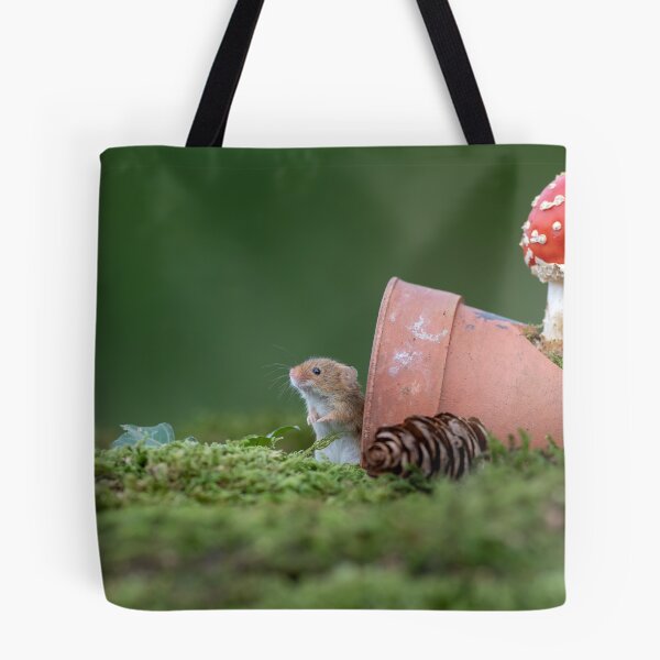 Item preview, Harvest mouse and Fungi designed and sold by Dean Mason.