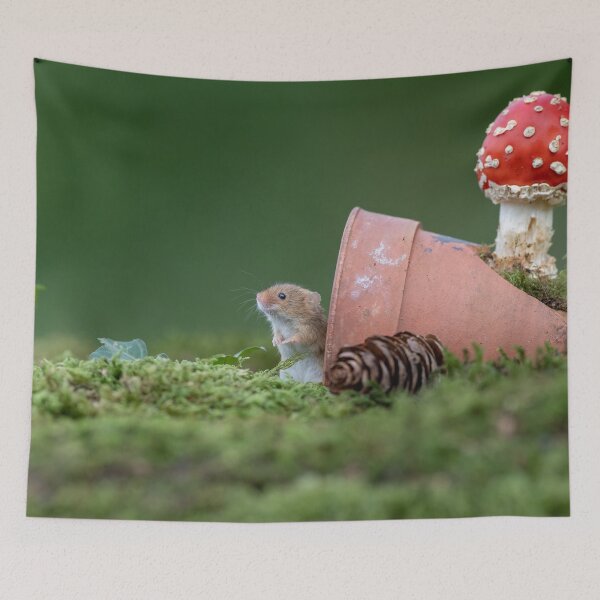 Item preview, Harvest mouse and Fungi designed and sold by Dean Mason.