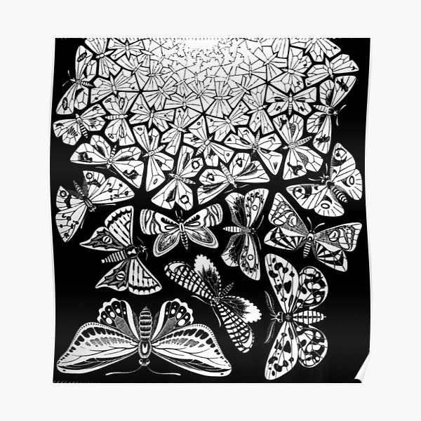 Schmetterlinge Tessellation 1950 - Maurits Cornelis Escher Poster