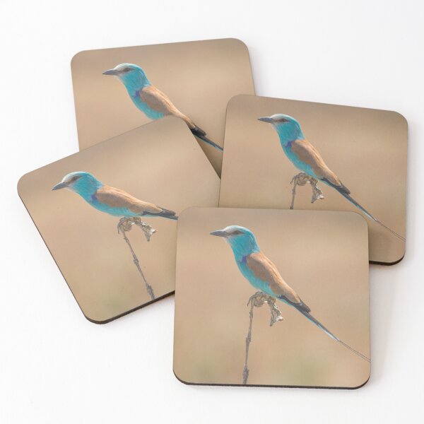 Item preview, Abyssinian Roller (Coracias abyssinica) from Chad, Africa designed and sold by Jason Weigner.