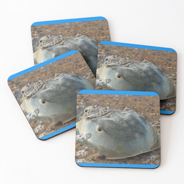 Item preview, horseshoe crab designed and sold by AlfordsStore.