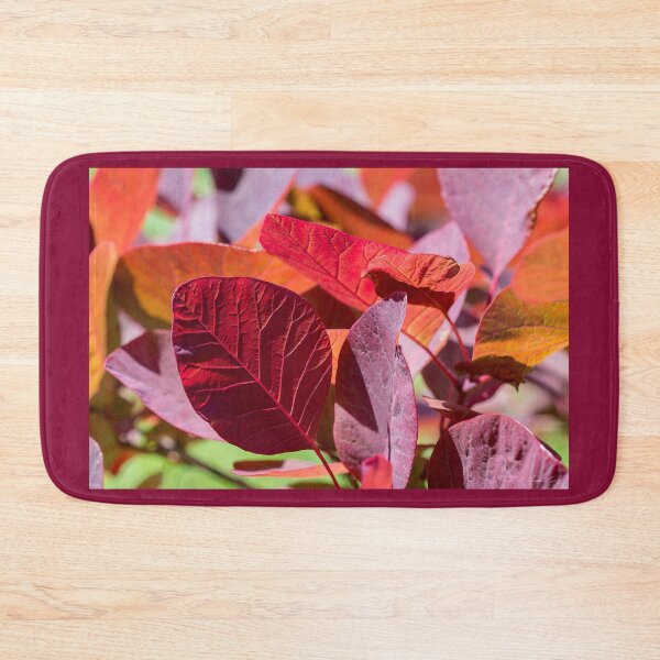 Item preview, Everything is Extraordinary designed and sold by Linda Lees.