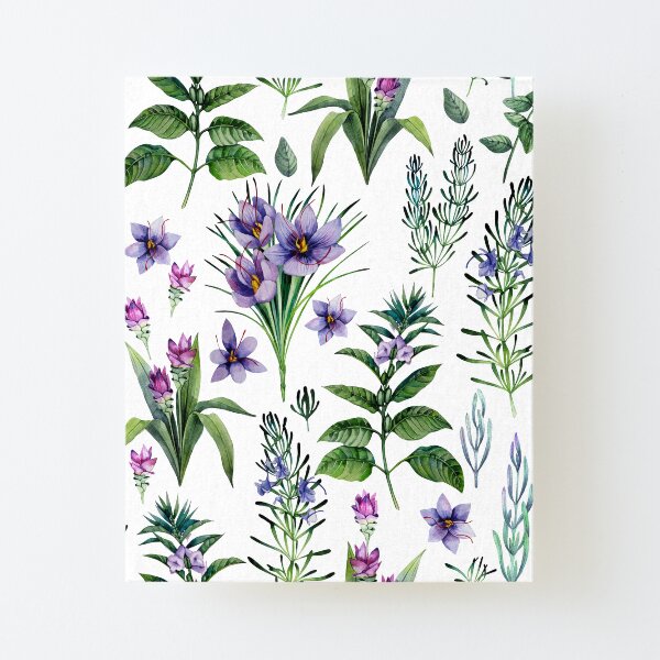 Watercolor botanical collection of herbs and spices Canvas Mounted Print